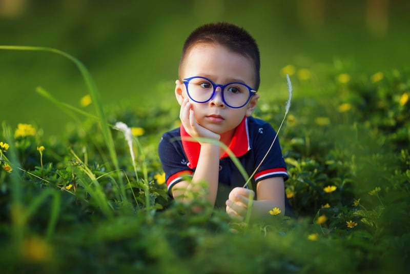 Little Boy in the Meadow